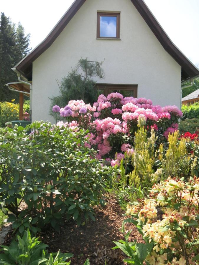 Privathaus Wehle Apartment Kurort Gohrisch